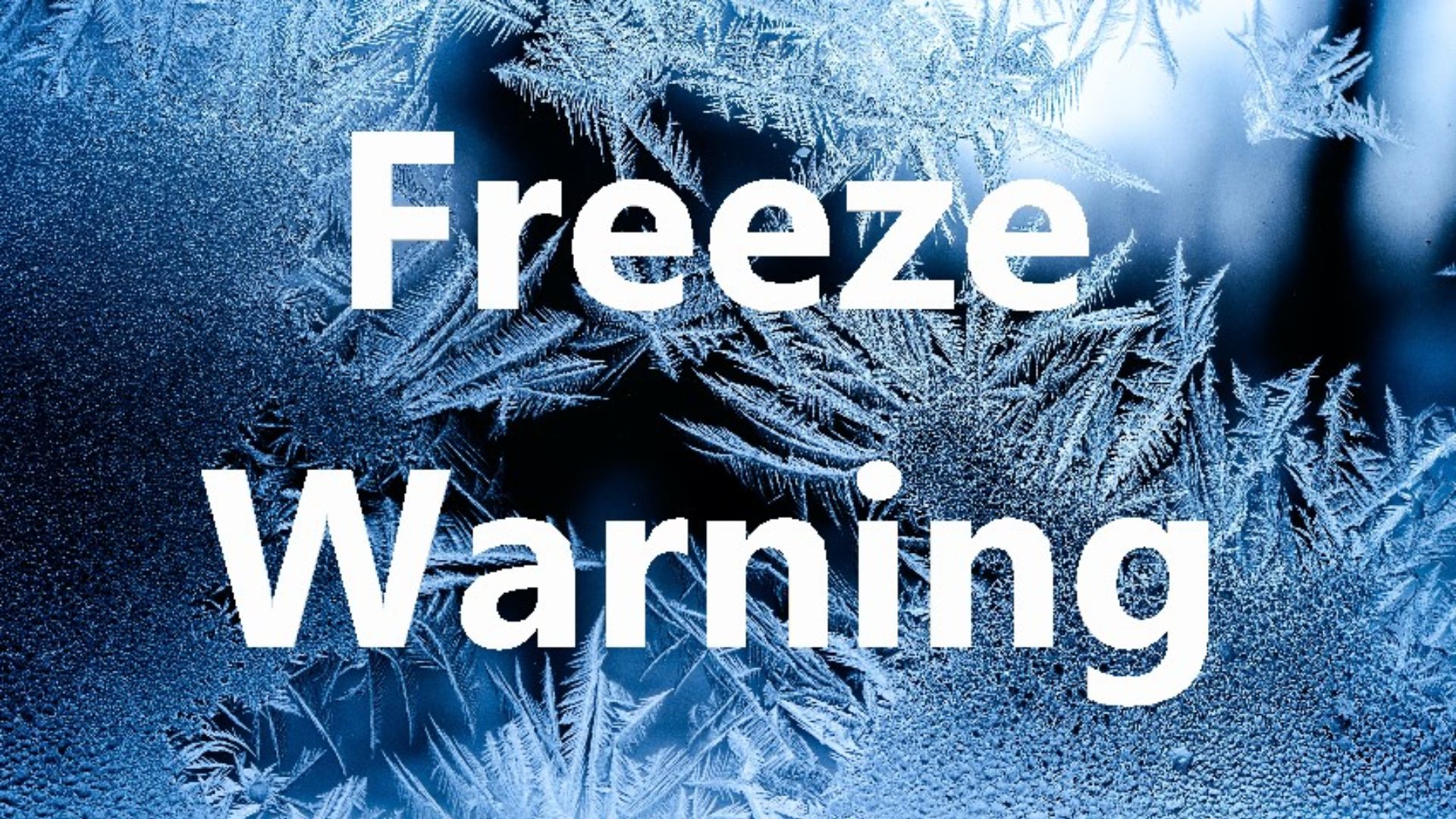 freeze warning